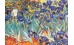 ΠΙΝΑΚΕΣ ΖΩΓΡΑΦΙΚΗΣ V.VAN GOGH